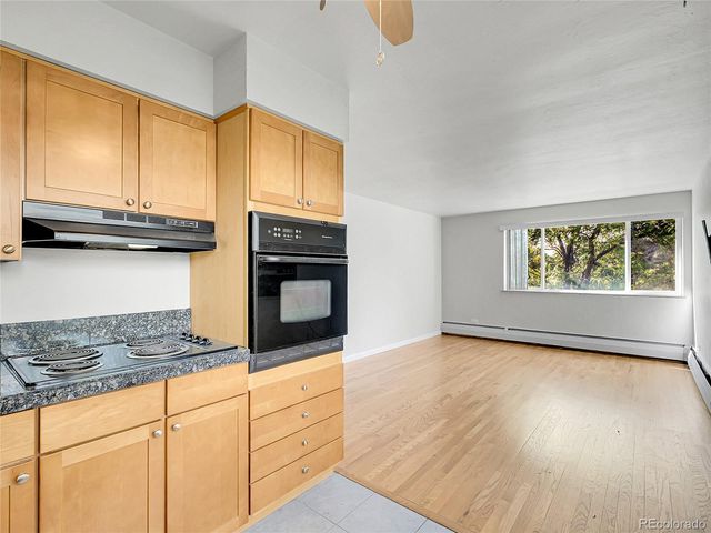 1056 N Marion Street 202, Denver, CO 80218