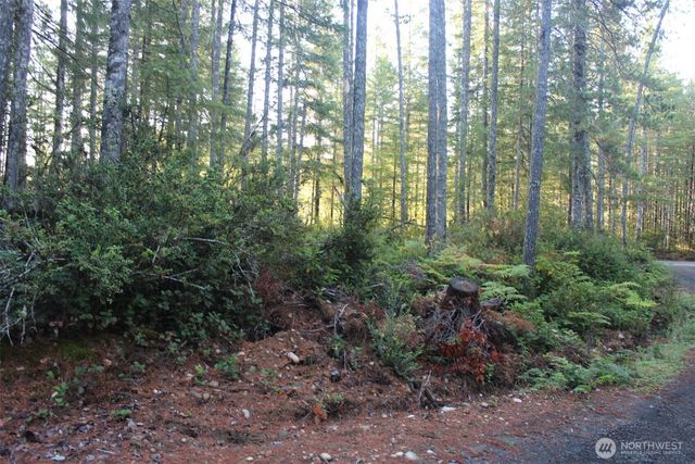 3511 NE Tahuya Blacksmith Rd, Tahuya, WA 98588