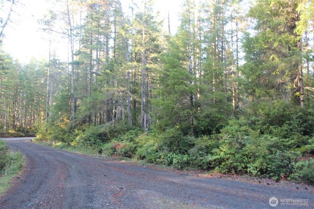 3511 NE Tahuya Blacksmith Rd, Tahuya, WA 98588