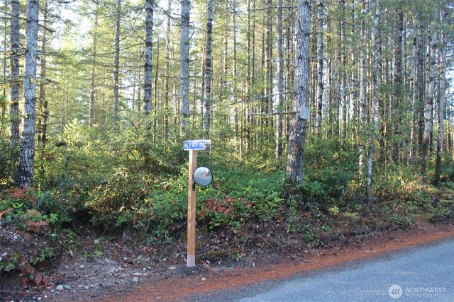 3511 NE Tahuya Blacksmith Rd, Tahuya, WA 98588