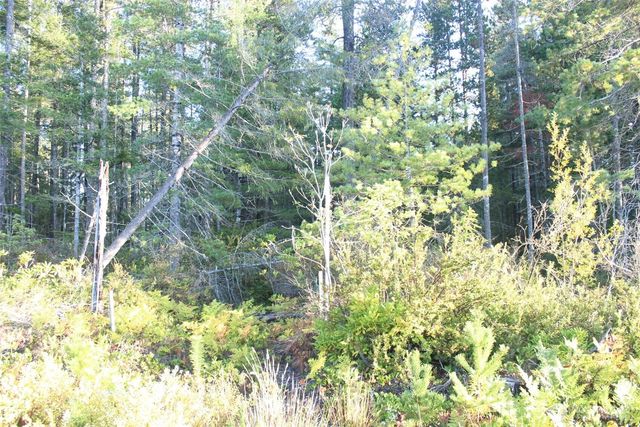 3511 NE Tahuya Blacksmith Rd, Tahuya, WA 98588