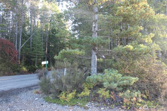 3511 NE Tahuya Blacksmith Rd, Tahuya, WA 98588