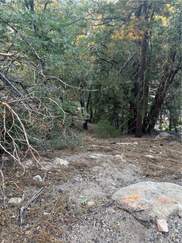 0 Ridge Dr, Running Springs, CA 92382