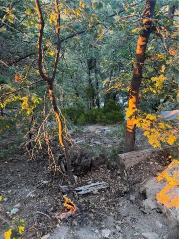 0 Ridge Dr, Running Springs, CA 92382