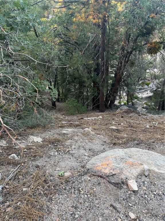 0 Ridge Dr, Running Springs, CA 92382