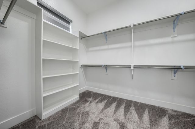 3691 Spruce Hills Street, Frisco, TX 75033