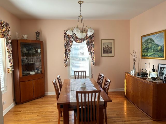 171 E Cayuga Avenue, Elmhurst, IL 60126