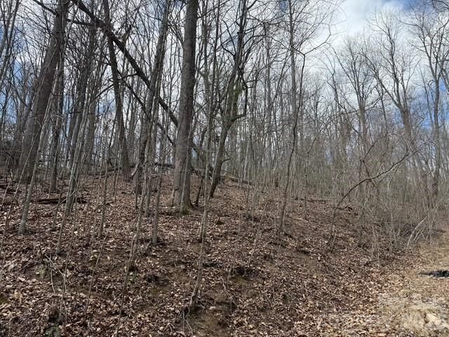 158 Chattooga Run 402, Hendersonville, NC 28739