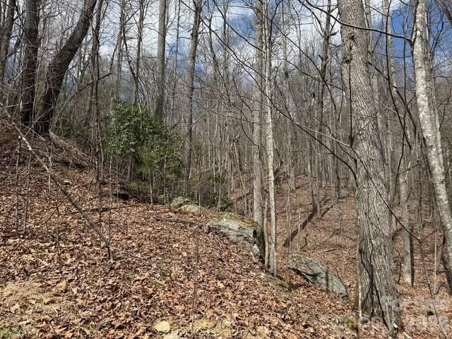 158 Chattooga Run 402, Hendersonville, NC 28739