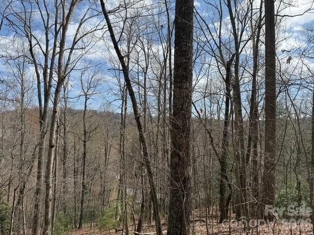 158 Chattooga Run 402, Hendersonville, NC 28739