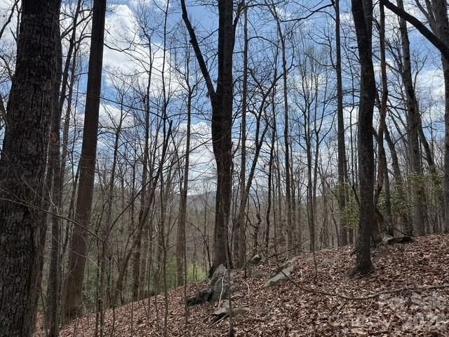 158 Chattooga Run 402, Hendersonville, NC 28739