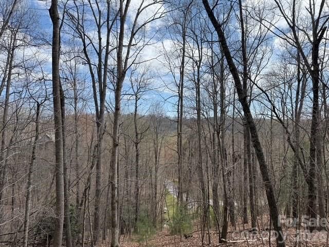158 Chattooga Run 402, Hendersonville, NC 28739