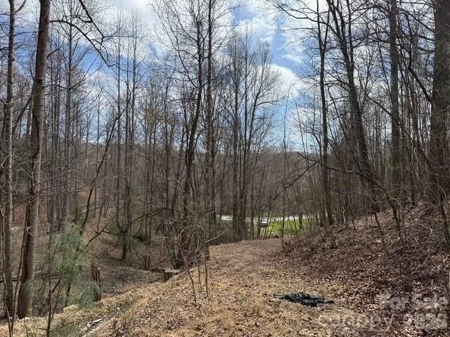 158 Chattooga Run 402, Hendersonville, NC 28739