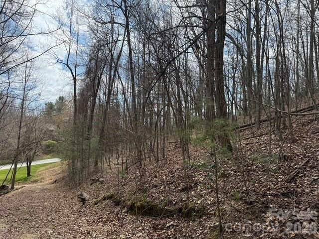 158 Chattooga Run 402, Hendersonville, NC 28739