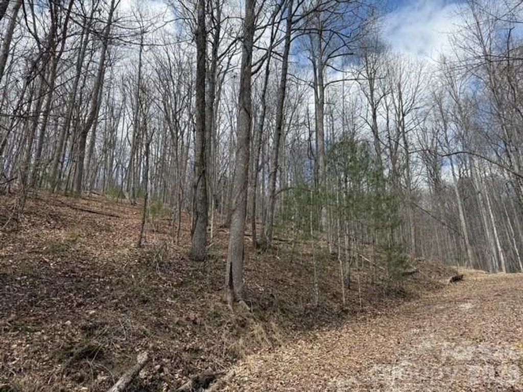 158 Chattooga Run 402, Hendersonville, NC 28739