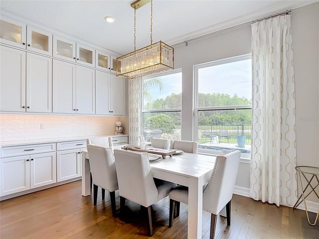 6166 MARSH TRAIL DRIVE, Odessa, FL 33556