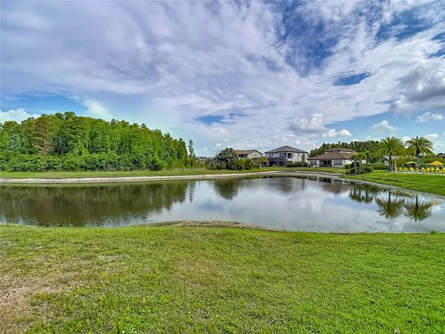 6166 MARSH TRAIL DRIVE, Odessa, FL 33556