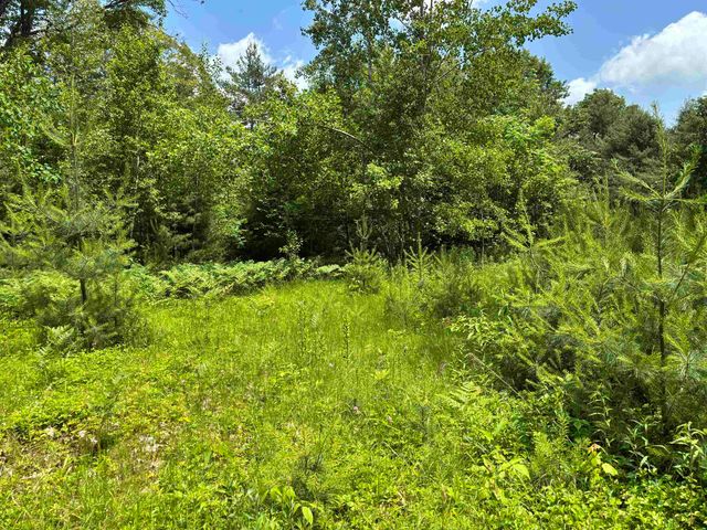00 Simonsville Road, Andover, VT 05143