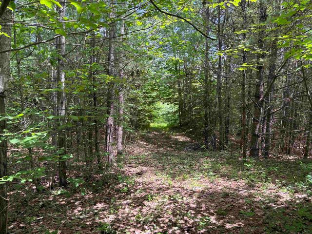 00 Simonsville Road, Andover, VT 05143