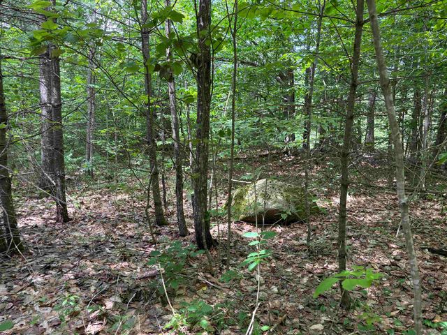 00 Simonsville Road, Andover, VT 05143