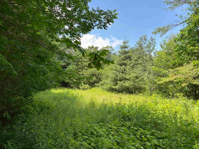 00 Simonsville Road, Andover, VT 05143