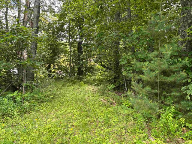 00 Simonsville Road, Andover, VT 05143