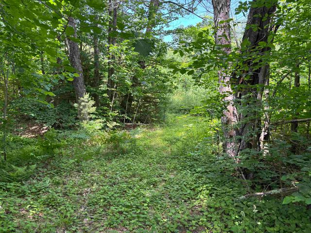 00 Simonsville Road, Andover, VT 05143