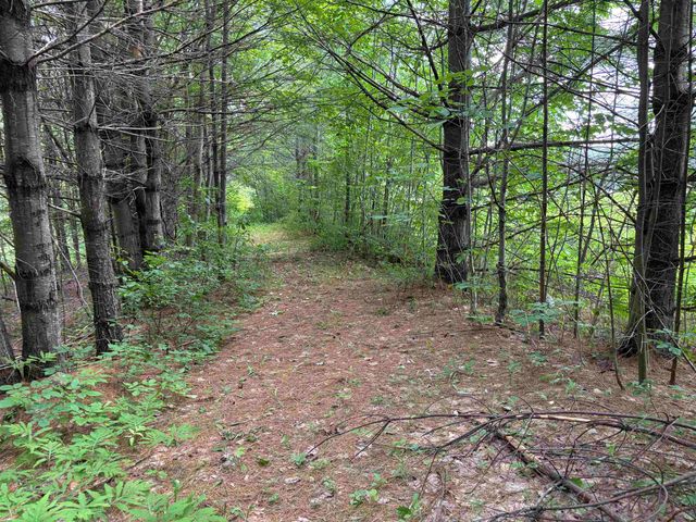 00 Simonsville Road, Andover, VT 05143