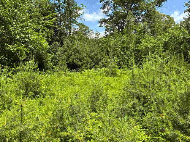 00 Simonsville Road, Andover, VT 05143