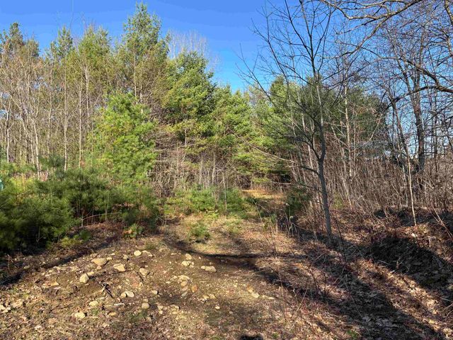 00 Simonsville Road, Andover, VT 05143