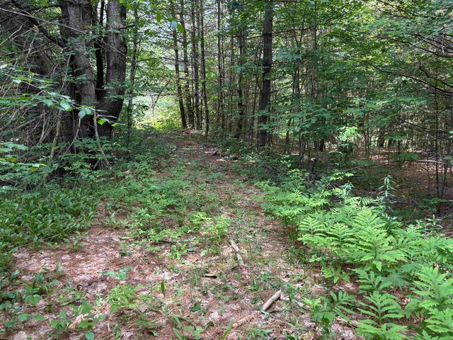 00 Simonsville Road, Andover, VT 05143