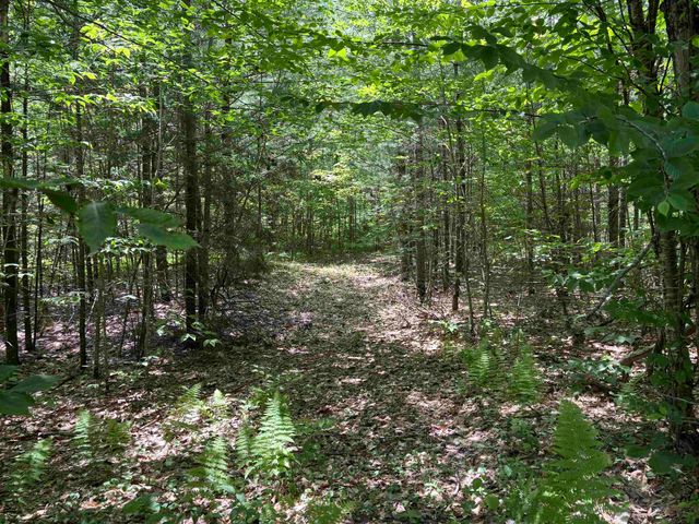 00 Simonsville Road, Andover, VT 05143