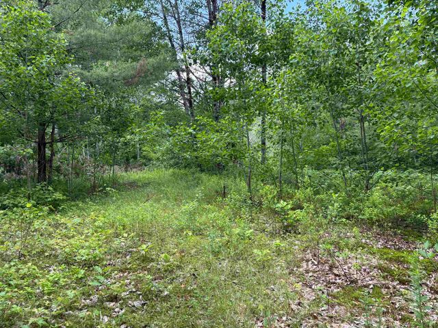 00 Simonsville Road, Andover, VT 05143
