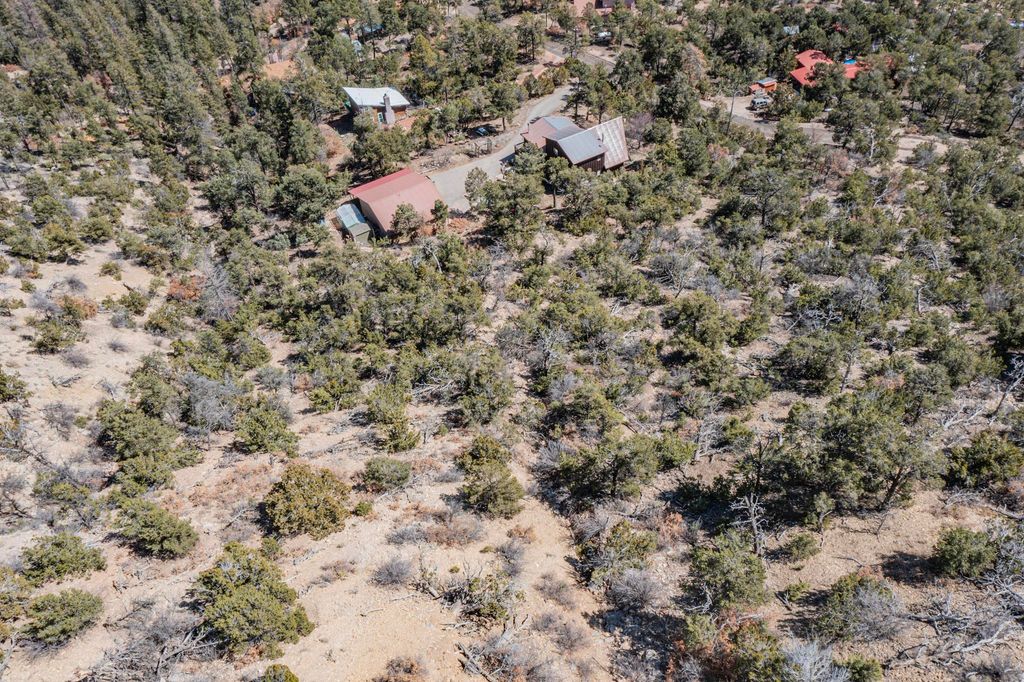 Image 10 of property listing at TBD Banco Bonito Road Lot 45A, Jemez Springs, NM 87025