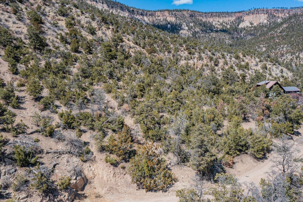 Image 11 of property listing at TBD Banco Bonito Road Lot 45A, Jemez Springs, NM 87025