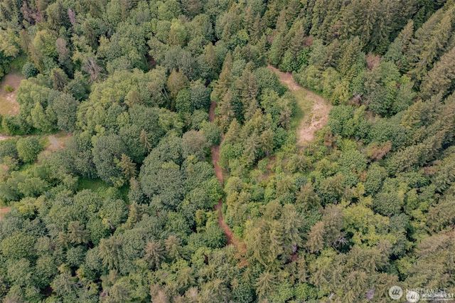 9 P-9 US Highway 101, Lilliwaup, WA 98555