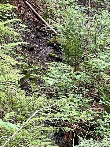 9 P-9 US Highway 101, Lilliwaup, WA 98555