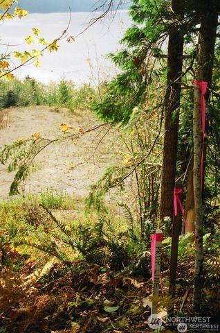 9 P-9 US Highway 101, Lilliwaup, WA 98555