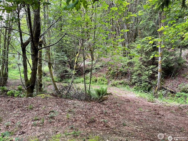 9 P-9 US Highway 101, Lilliwaup, WA 98555