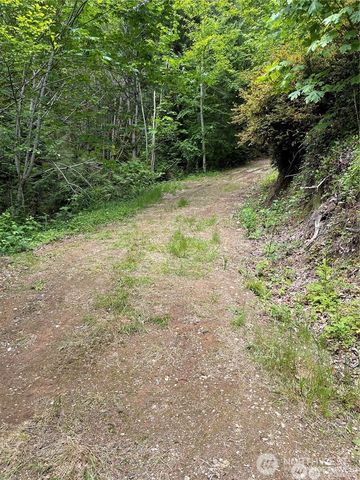 9 P-9 US Highway 101, Lilliwaup, WA 98555