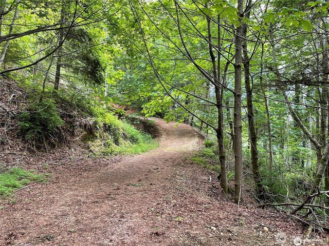 9 P-9 US Highway 101, Lilliwaup, WA 98555