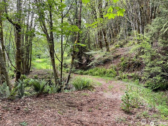 9 P-9 US Highway 101, Lilliwaup, WA 98555