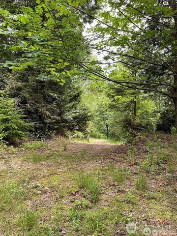 9 P-9 US Highway 101, Lilliwaup, WA 98555