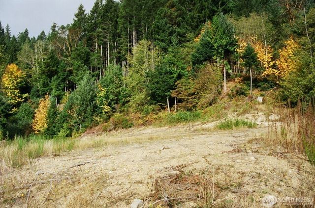 9 P-9 US Highway 101, Lilliwaup, WA 98555