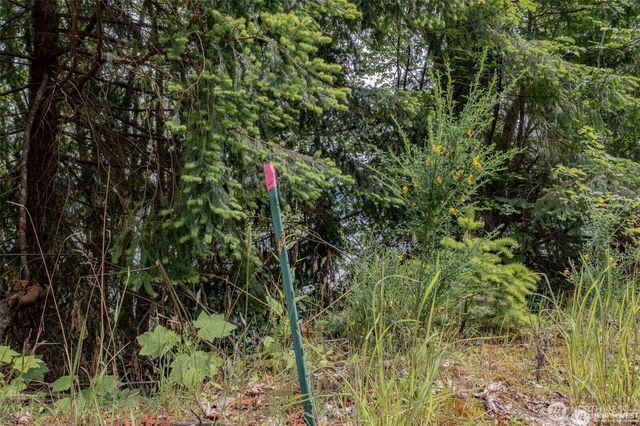 9 P-9 US Highway 101, Lilliwaup, WA 98555