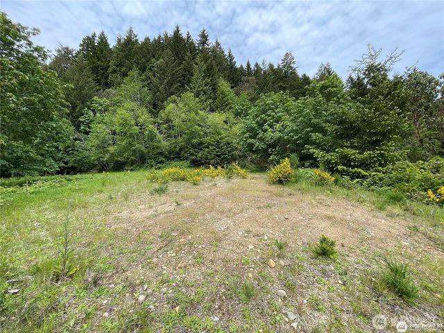 9 P-9 US Highway 101, Lilliwaup, WA 98555