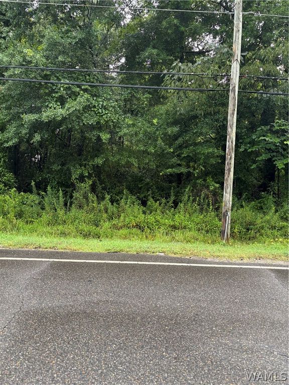 10848 Old Greensboro, Tuscaloosa, AL 35405