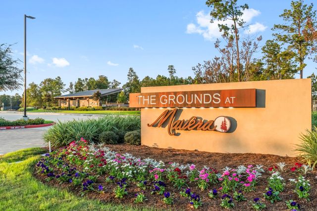 14542 Clementine Hall Drive, Conroe, TX 77302