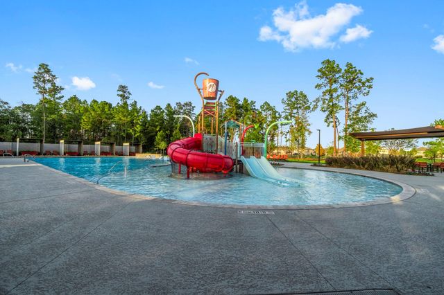 14542 Clementine Hall Drive, Conroe, TX 77302