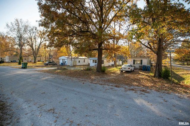 101 POPLAR Street, Desoto, IL 62924